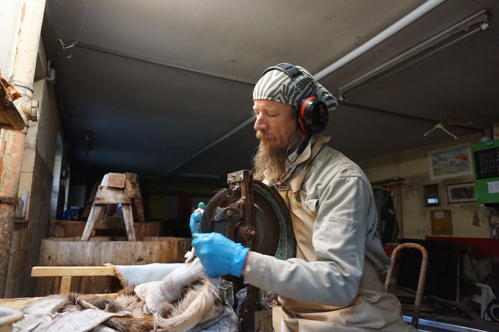 Fell nach dem waschen aus dem Fass nehmen | Arbeitsablauf fleischen