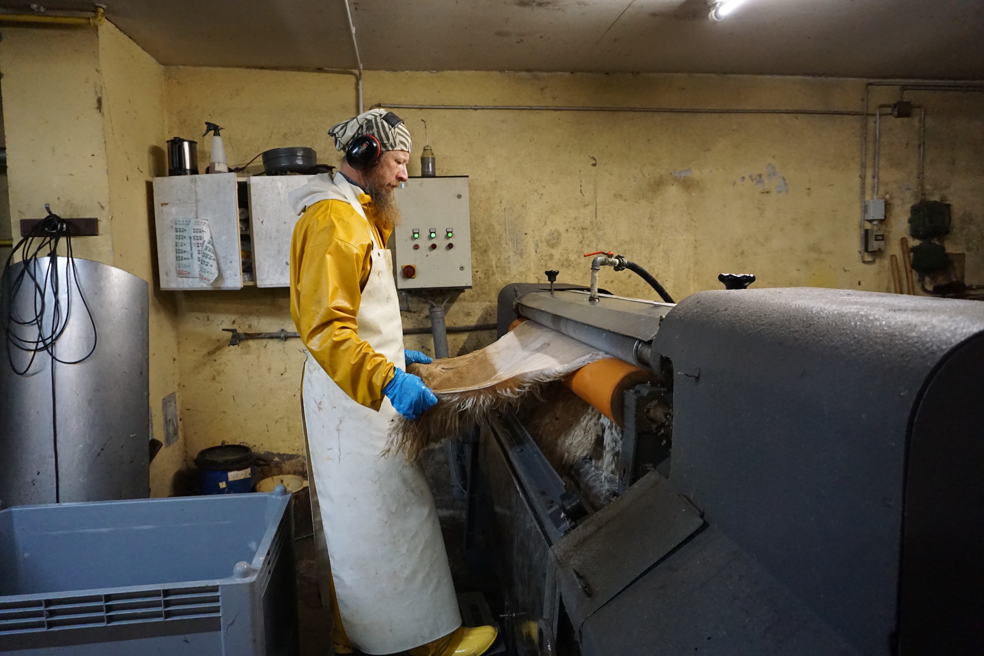 Schaffelle mit Entfleischmaschine | Arbeitsablauf fleischen